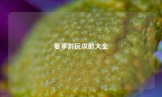 夏季游玩攻略大全