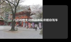 八达岭野生动物园游玩攻略自驾车