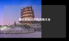 恭王府游玩攻略视频大全