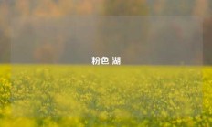 粉色 湖