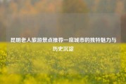 昆明老人旅游景点推荐一座城市的独特魅力与历史沉淀