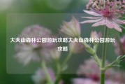 大夫山森林公园游玩攻略大夫山森林公园游玩攻略
