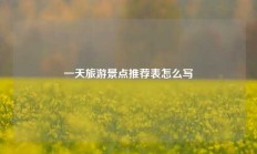 一天旅游景点推荐表怎么写