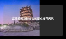 武隆旅游攻略必去的景点推荐天坑