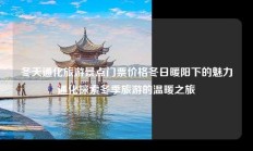 冬天通化旅游景点门票价格冬日暖阳下的魅力通化探索冬季旅游的温暖之旅