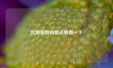 沈阳旅游的景点推荐一下