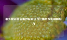 桐乡旅游景点推荐探索这片江南水乡的神秘魅力