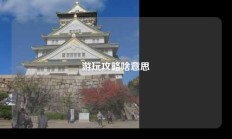 游玩攻略啥意思