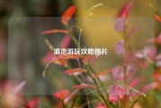 滇池游玩攻略图片