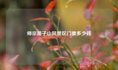师宗菌子山风景区门票多少钱