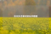 白川乡合掌村游玩攻略图