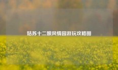 姑苏十二娘风情园游玩攻略图