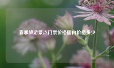 春季旅游景点门票价格国内价格多少