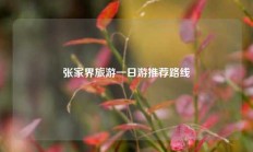 张家界旅游一日游推荐路线