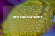 惠州附近旅游景点门票价格表