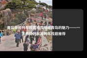 青岛旅游列车线路推荐探寻青岛的魅力——一条独特的旅游列车线路推荐