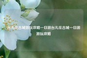 台儿庄古城游玩攻略一日游台儿庄古城一日游游玩攻略