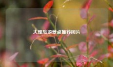 大理旅游景点推荐图片