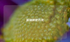 盐湖钾肥历史