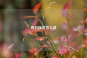 风云际会怎么过
