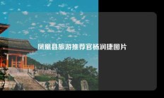 凤凰县旅游推荐官杨润捷图片