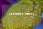 三亚小孩旅游景点门票价格多少
