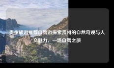 贵州旅游推荐自驾游探索贵州的自然奇观与人文魅力，一场自驾之旅