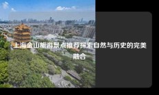 上海金山旅游景点推荐探索自然与历史的完美融合