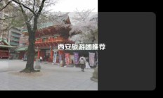 西安旅游团推荐