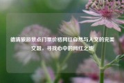 德清旅游景点门票价格网红自然与人文的完美交融，寻找心中的网红之地