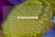 重庆旅游酒店推荐表