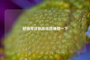 越南芽庄旅游线路推荐一下