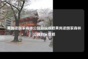 黄岗梁国家森林公园游玩攻略黄岗梁国家森林公园游玩攻略