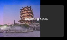 十一旅游哈尔滨人多吗