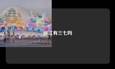 丽江有三七吗