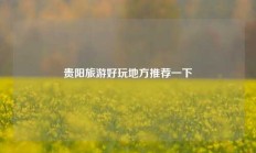 贵阳旅游好玩地方推荐一下