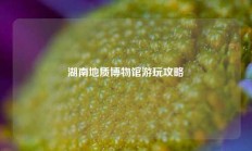湖南地质博物馆游玩攻略