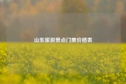 山东旅游景点门票价格表