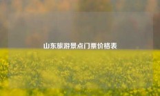 山东旅游景点门票价格表