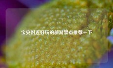 宝安附近好玩的旅游景点推荐一下
