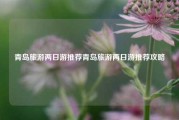 青岛旅游两日游推荐青岛旅游两日游推荐攻略