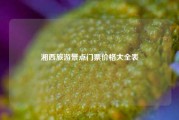 湘西旅游景点门票价格大全表