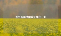 青岛旅游攻略全套推荐一下