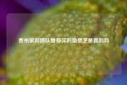 贵州旅游团队推荐买的血灵芝是真的吗