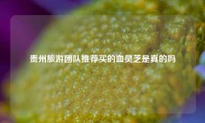 贵州旅游团队推荐买的血灵芝是真的吗