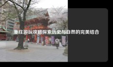 枣庄游玩攻略探索历史与自然的完美结合