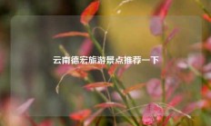 云南德宏旅游景点推荐一下