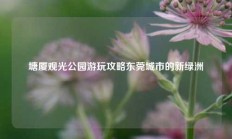 塘厦观光公园游玩攻略东莞城市的新绿洲