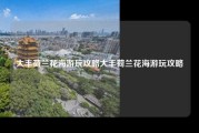 大丰荷兰花海游玩攻略大丰荷兰花海游玩攻略