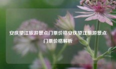 安庆望江旅游景点门票价格安庆望江旅游景点门票价格解析
